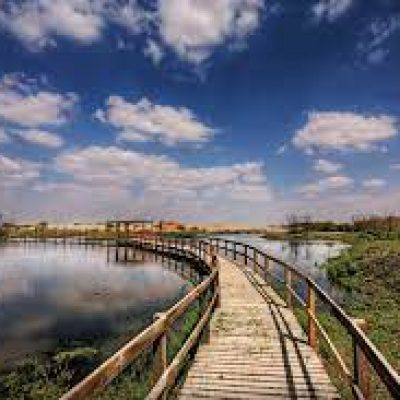 Azraq Wetland Reserve